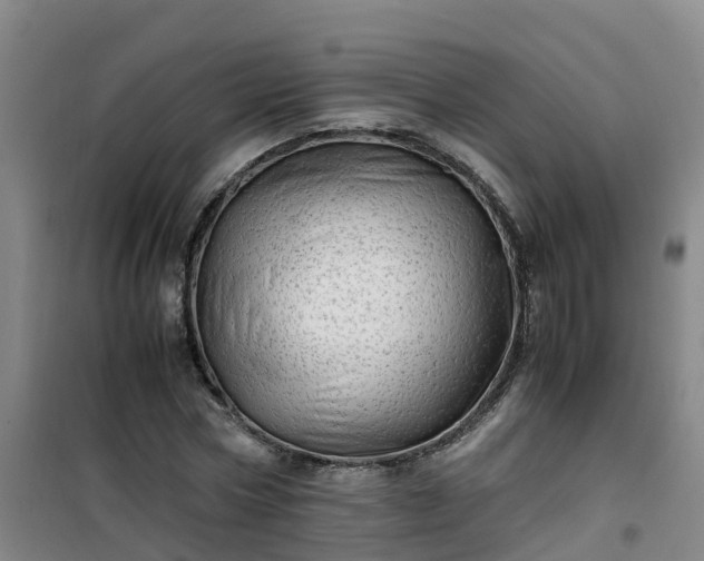 X0000101170778200807111051