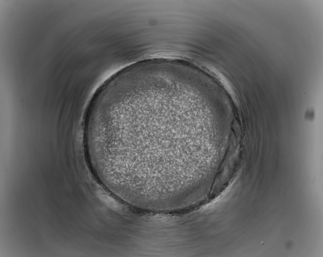 X0000101170779200807111051