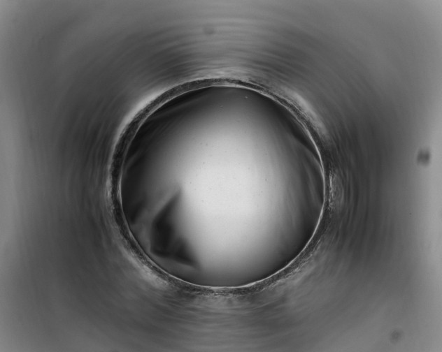 X0000101170780200807111051