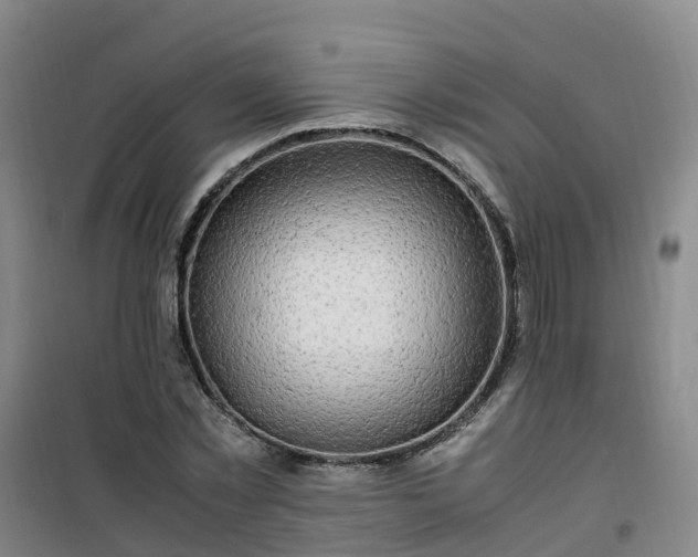 X0000101170781200807111051