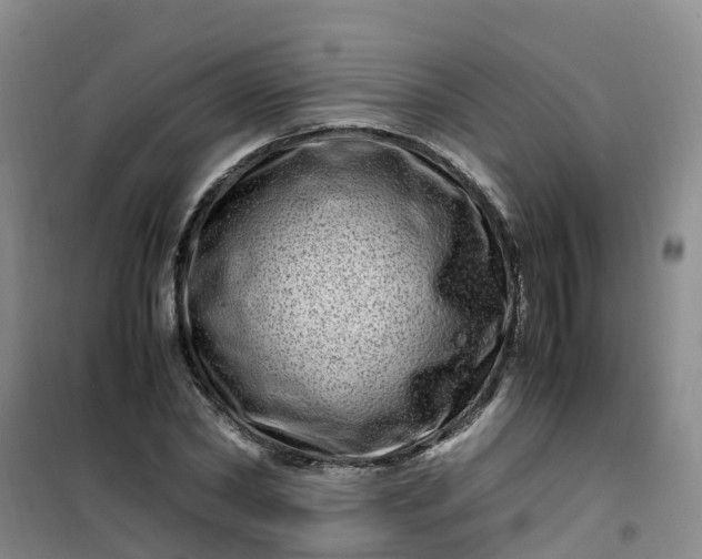 X0000101170782200807111051