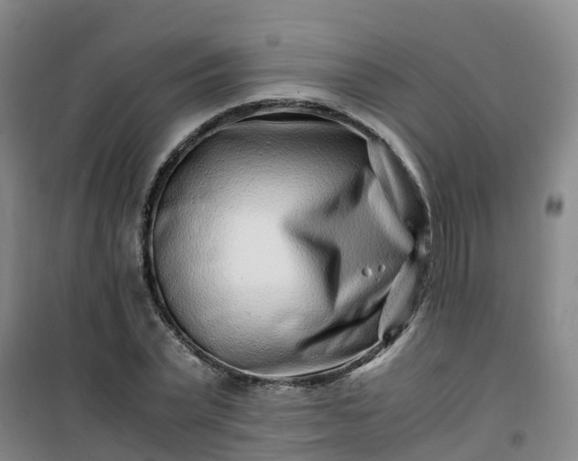 X0000101170783200807111051