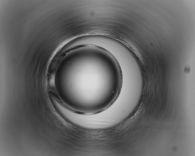 X0000101170784200807111051
