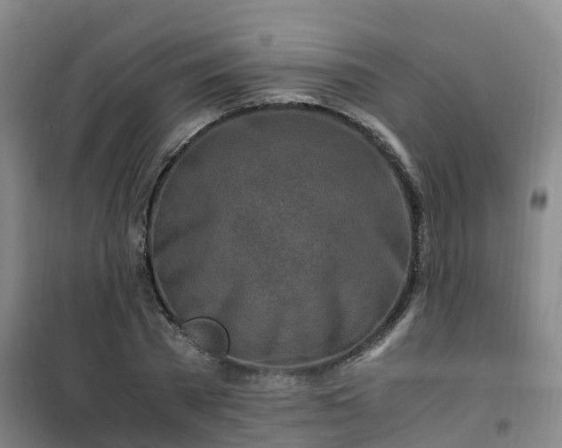 X0000101170785200807111051
