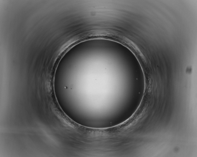 X0000101170786200807111051