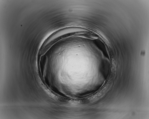 X0000101170788200807111051