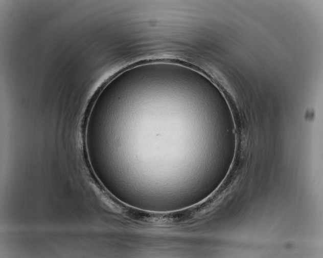X0000101170789200807111051