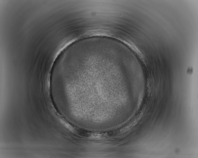 X0000101170790200807111051