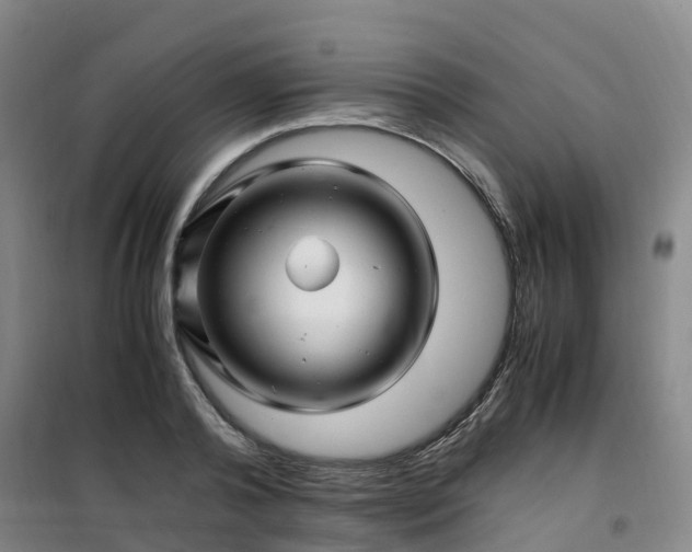 X0000101170792200807111051