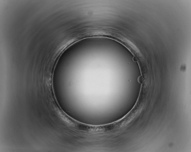 X0000101170793200807111051