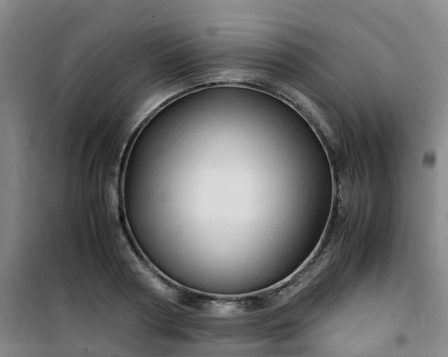 X0000101170794200807111051