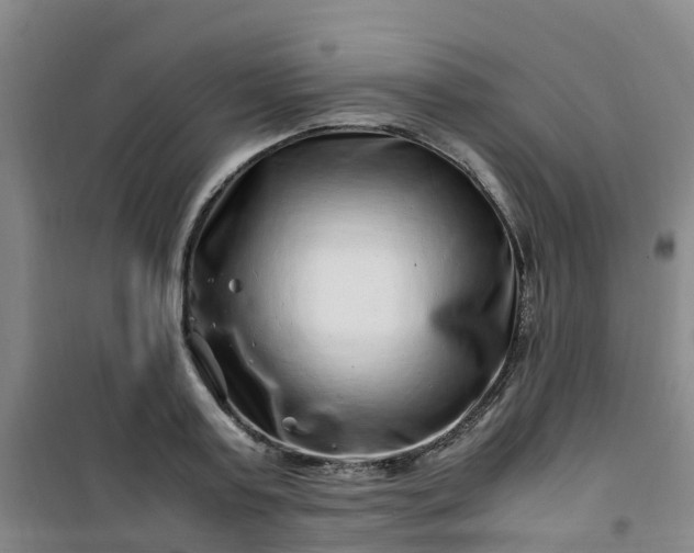 X0000101170795200807111051