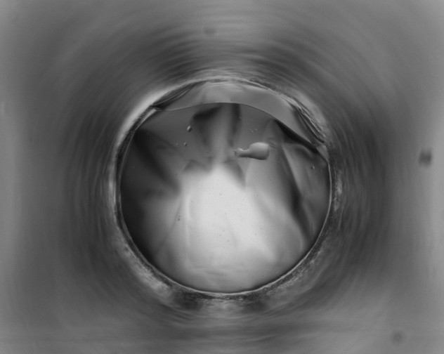 X0000101170796200807111051