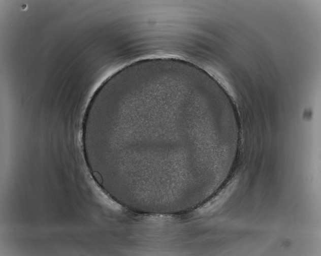 X0000101170797200807111051