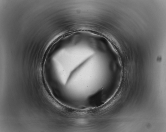 X0000101170798200807111051