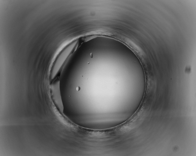 X0000101170800200807111051