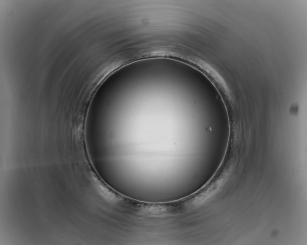 X0000101170801200807111051