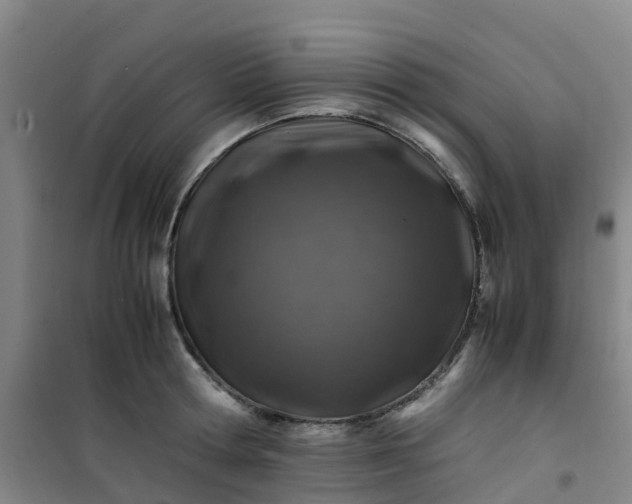 X0000101170802200807111050