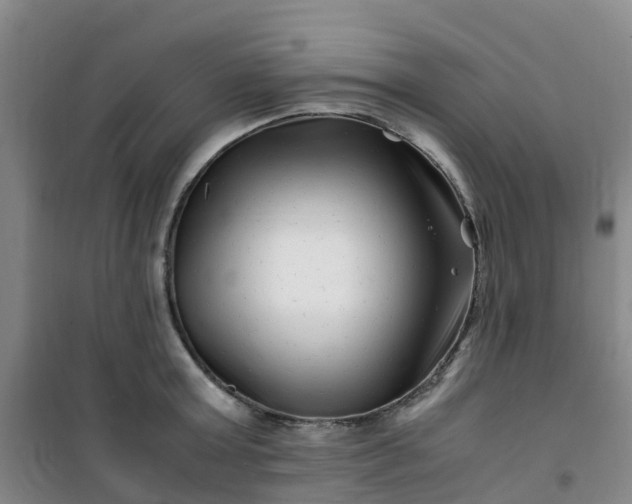 X0000101170803200807111050