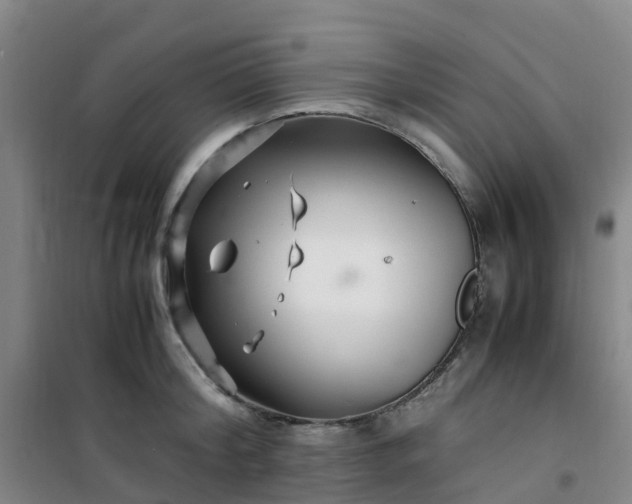X0000101170804200807111050