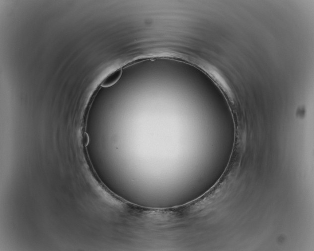 X0000101170805200807111050