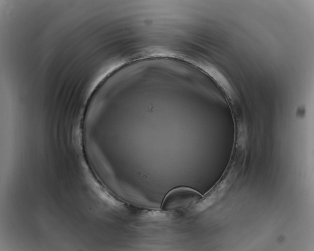 X0000101170806200807111050