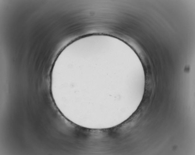 X0000101170807200807111050