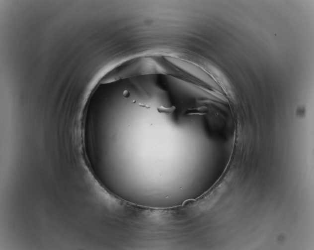 X0000101170808200807111050