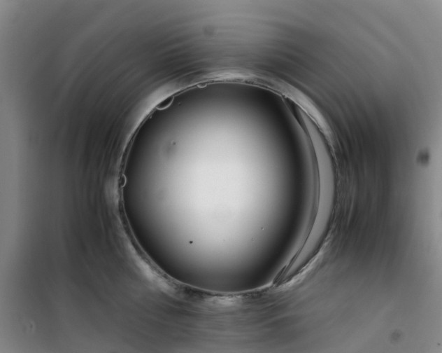 X0000101170810200807111050