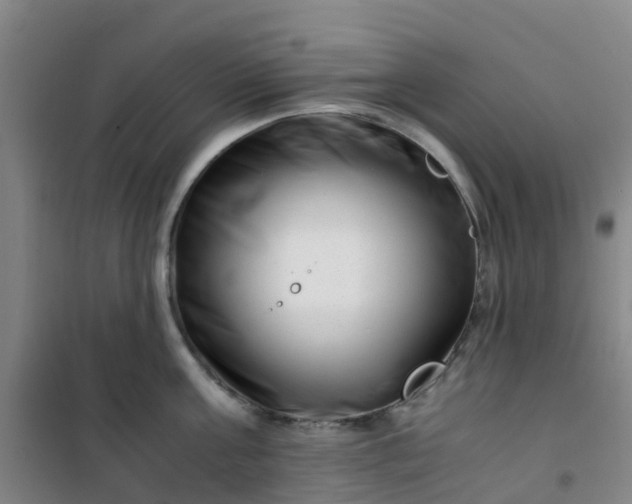 X0000101170811200807111050