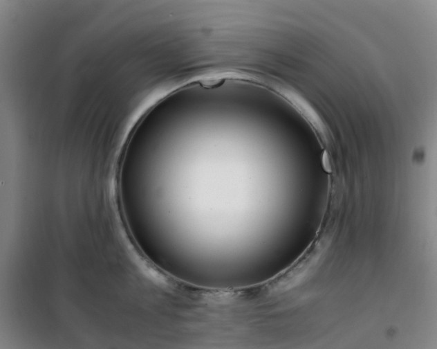 X0000101170813200807111050