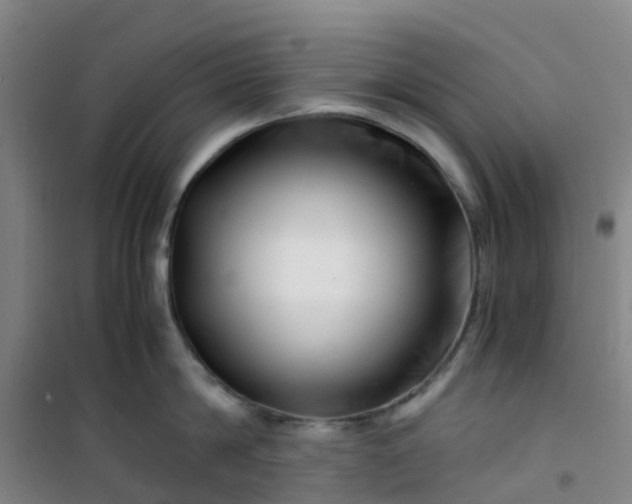 X0000101170814200807111050