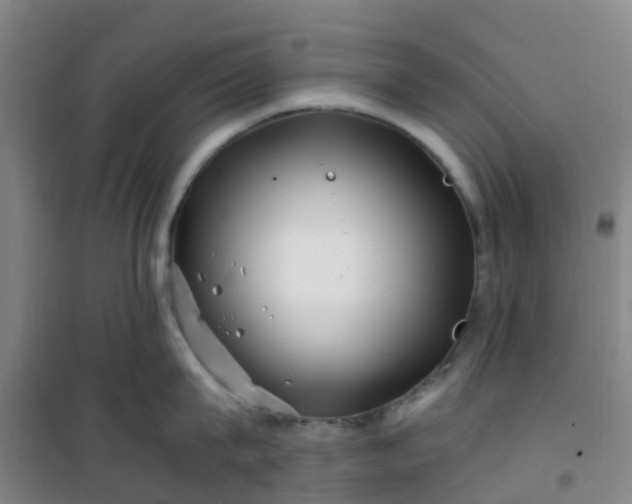 X0000101170815200807111050