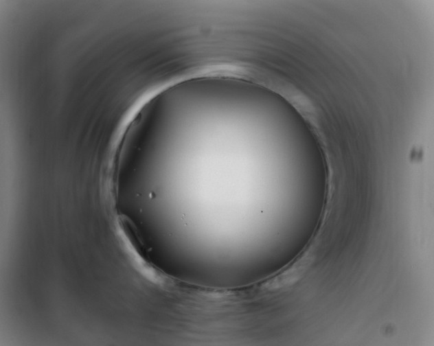 X0000101170816200807111050