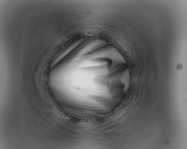 X0000101170817200807111050