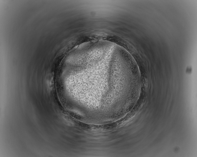X0000101170818200807111050
