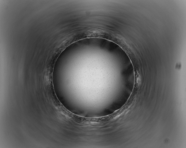 X0000101170819200807111050