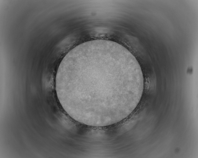 X0000101170820200807111050