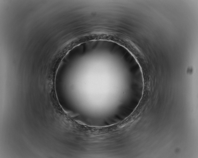 X0000101170821200807111050