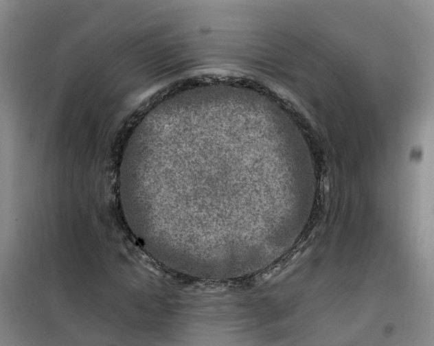 X0000101170822200807111050