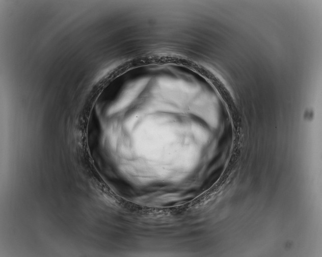 X0000101170823200807111050