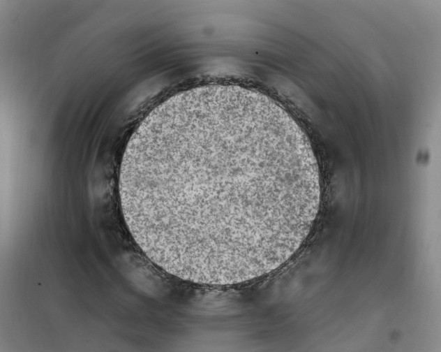 X0000101170824200807111050