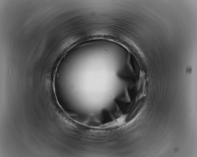 X0000101170825200807111050