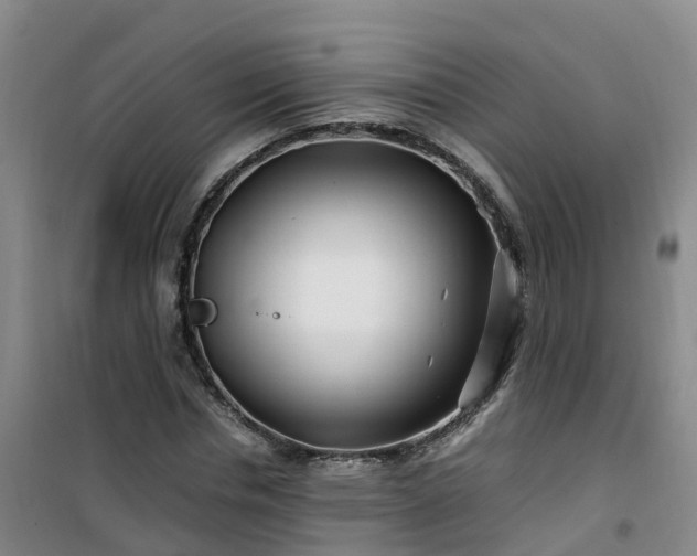 X0000101170826200807111050