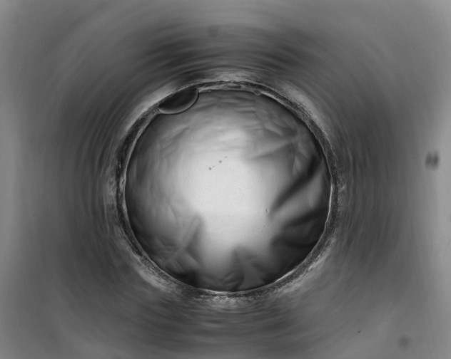 X0000101170827200807111050