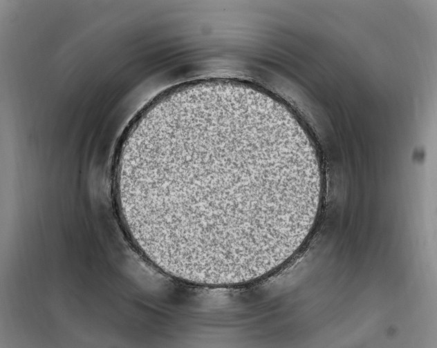 X0000101170828200807111050
