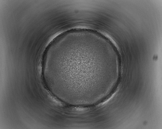 X0000101170829200807111050
