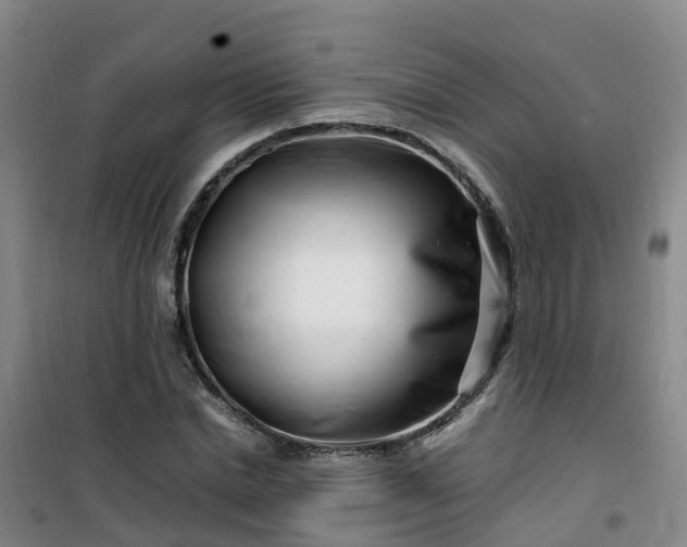 X0000101170830200807111050