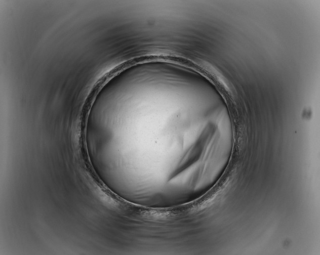 X0000101170831200807111050