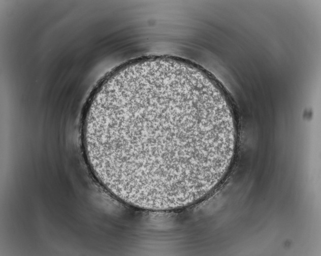 X0000101170832200807111050